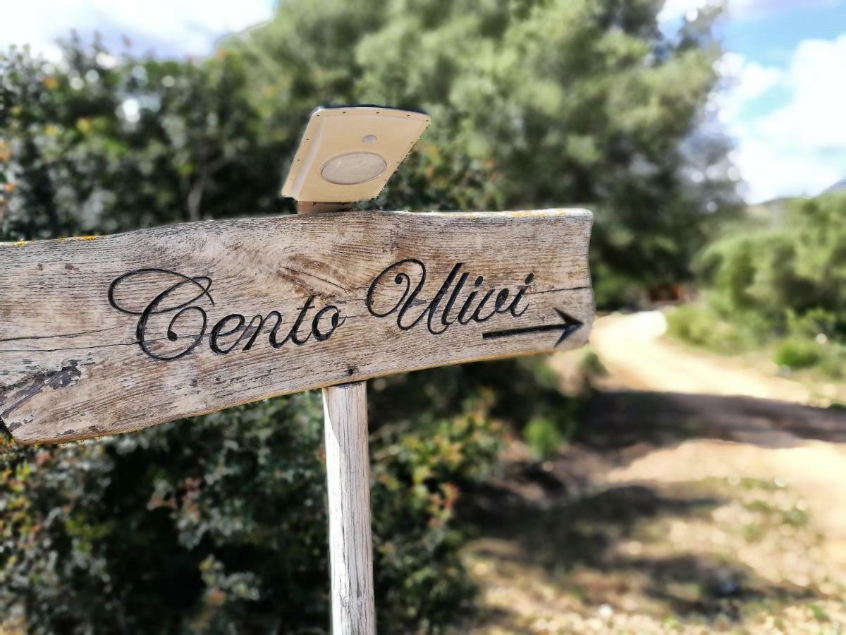 غولفو أرانتْشي Cento Ulivi B&B المظهر الخارجي الصورة